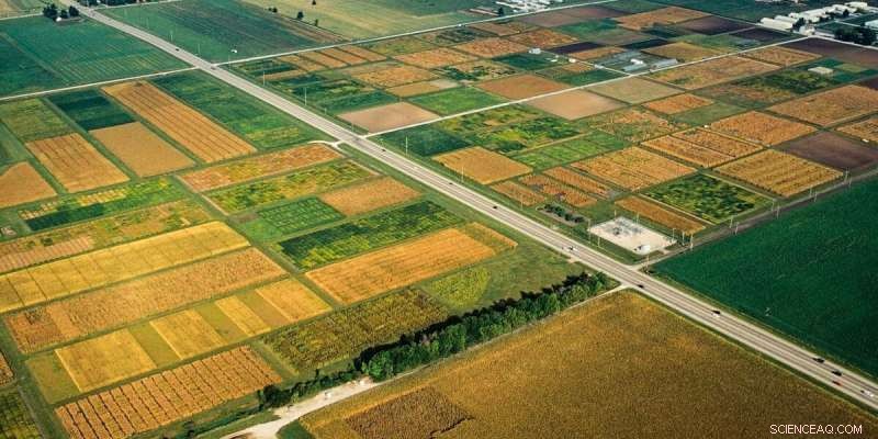Hyperspectral Imaging for Precise Crop Nitrogen Analysis | University of Illinois