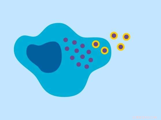 Efficient Gene Editing Delivery in Mice Using Engineered Particles
