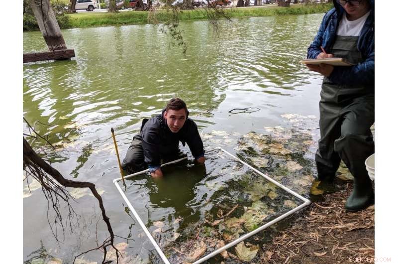 Freshwater Mussel Extinction: A Silent Crisis in Our Rivers