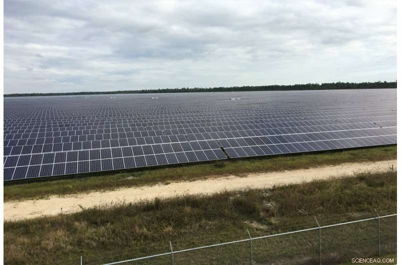 Solar Energy and Florida Panthers: Balancing Renewable Power with Conservation