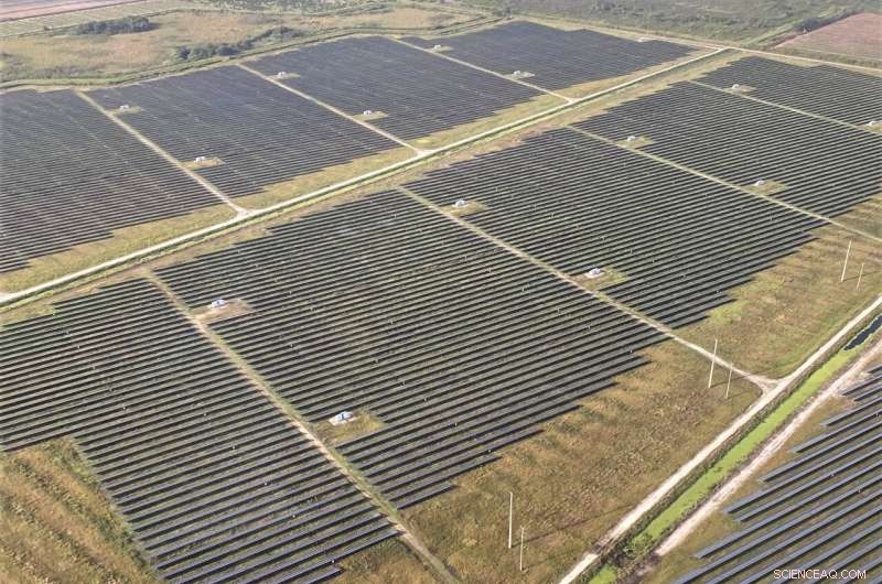 Solar Energy and Florida Panthers: Balancing Renewable Power with Conservation