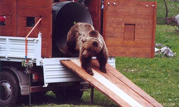 Wildlife Management & Environmental Justice: A Critical Perspective