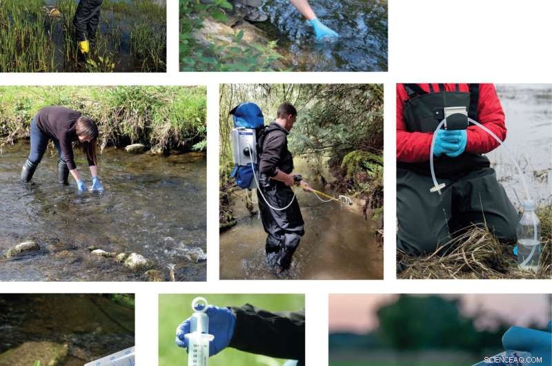 DNA-Based Biodiversity Assessment: A Practical Guide