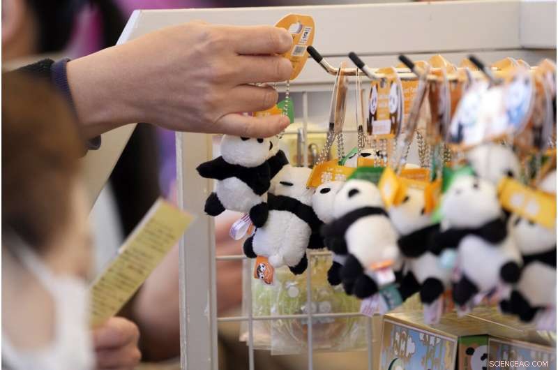 Tokyo Zoo Welcomes Adorable Twin Panda Cubs – A Brief Public Debut