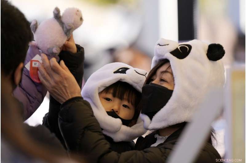 Tokyo Zoo Welcomes Adorable Twin Panda Cubs – A Brief Public Debut