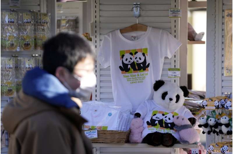 Tokyo Zoo Welcomes Adorable Twin Panda Cubs – A Brief Public Debut