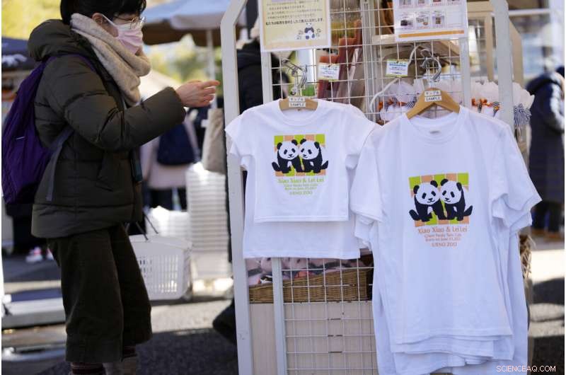 Tokyo Zoo Welcomes Adorable Twin Panda Cubs – A Brief Public Debut