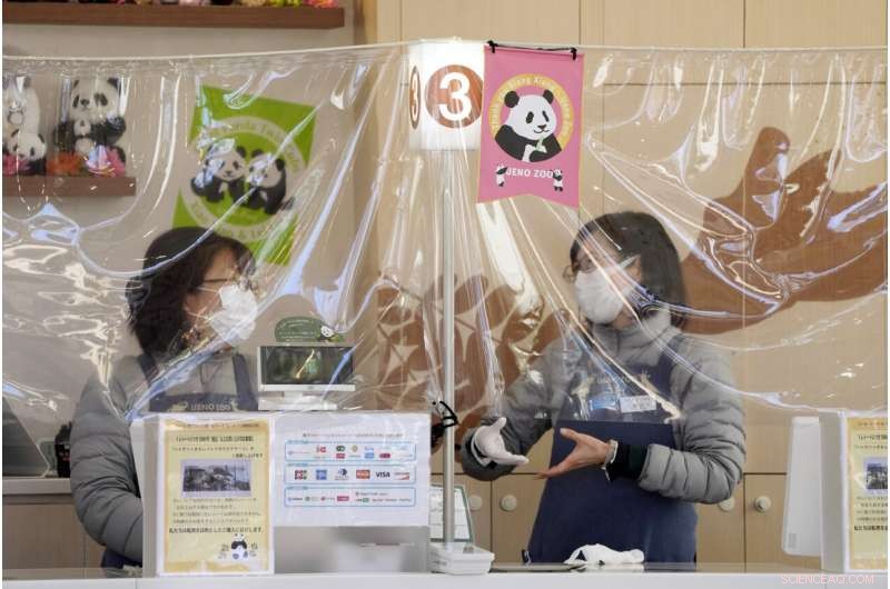 Tokyo Zoo Welcomes Adorable Twin Panda Cubs – A Brief Public Debut