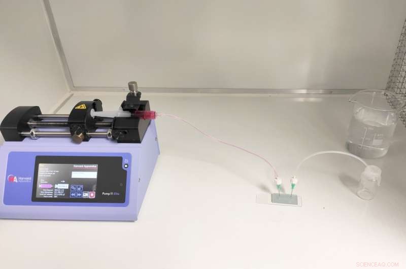 Biochip Revolutionizes In Vitro Skin Manufacturing, Reducing Costs