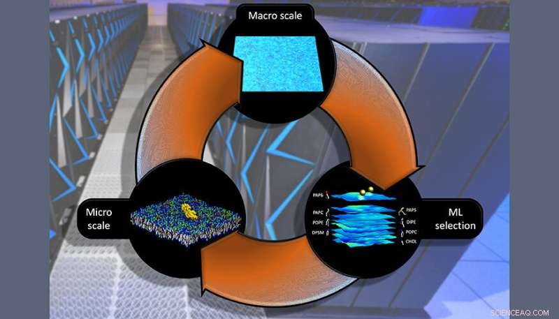 Multiscale Modeling Reveals Protein Behavior in Cancer Mutations