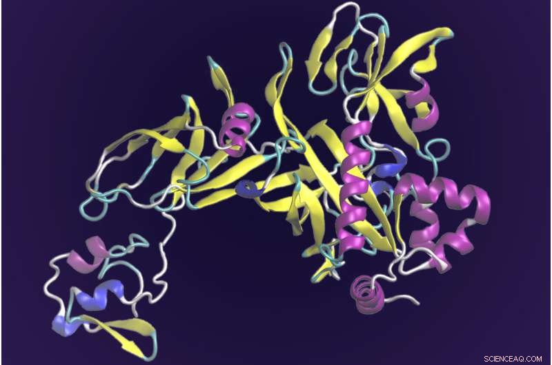 Predicting Protein Functions with AI and Supercomputing