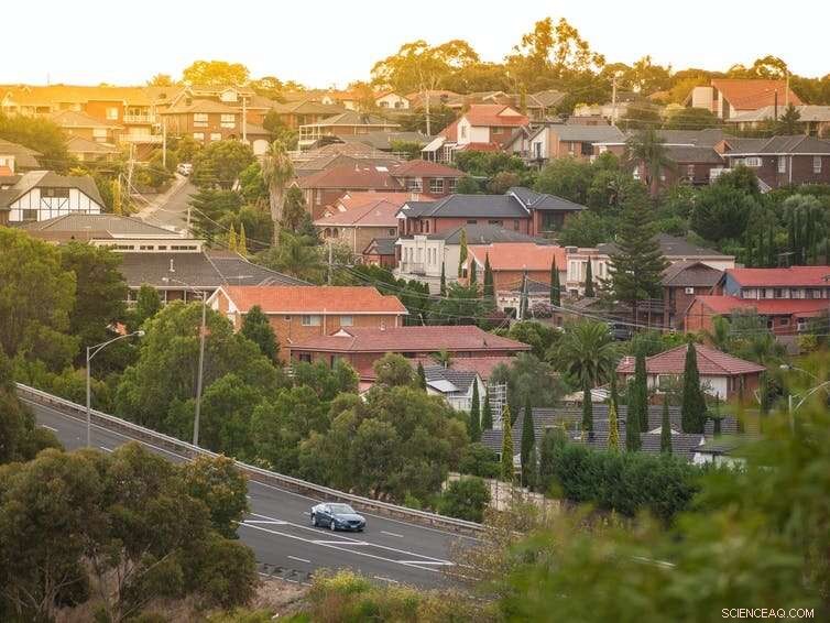 Climate Change & Street Trees: Which Species Will Survive?
