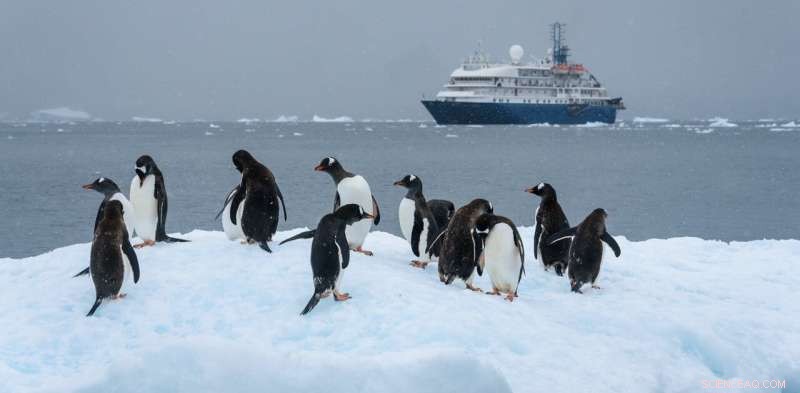Protecting Antarctica: The Threat of Invasive Species