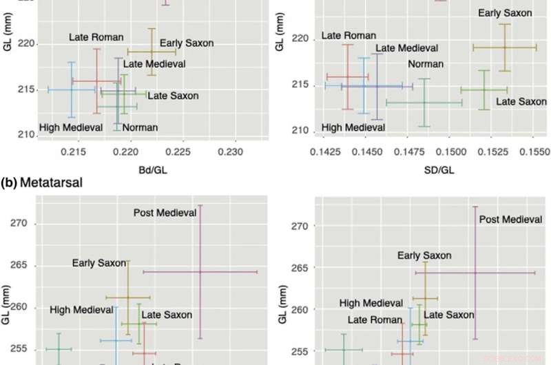 Medieval Warhorses: Size and Strength – A New Archaeological Study