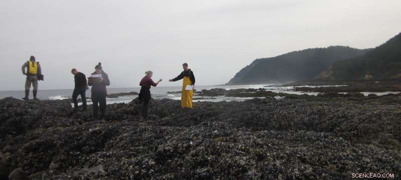 Climate Change Threatens Oregon Coast Ecosystems: New Research