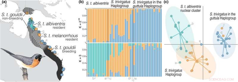 Unraveling Island Bird Histories with Advanced Genetic Analysis