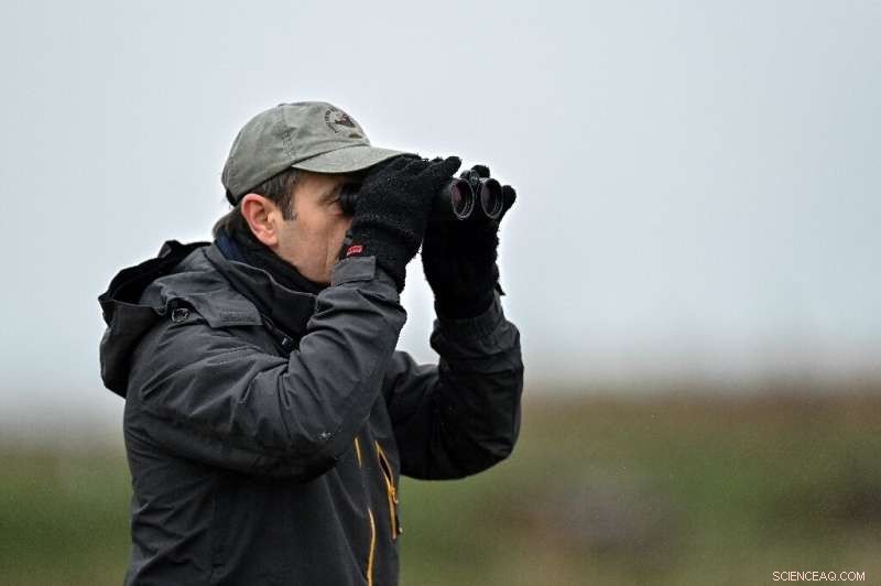 Former Quarry Restored: A Sanctuary for Endangered UK Birds