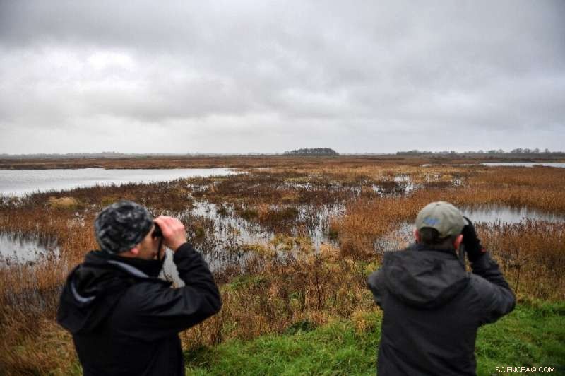Former Quarry Restored: A Sanctuary for Endangered UK Birds