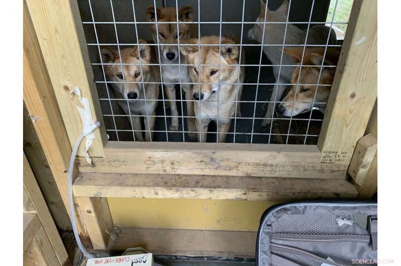 DNA in Zoo Air: New Way to Identify Animals