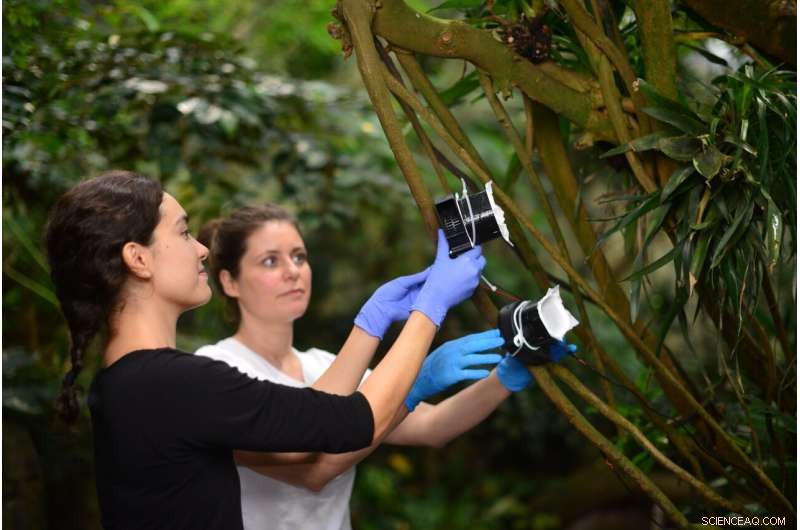 DNA in Zoo Air: New Way to Identify Animals