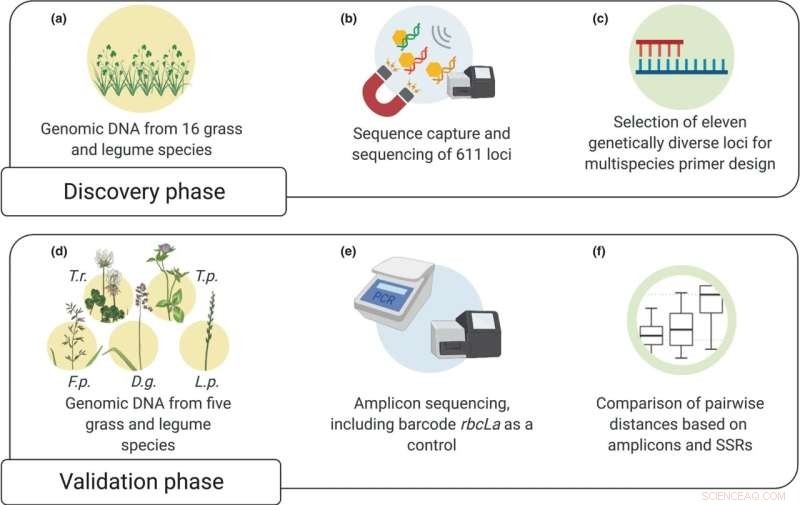Multispecies Amplicon Sequencing for Grassland Plant Genetic Diversity
