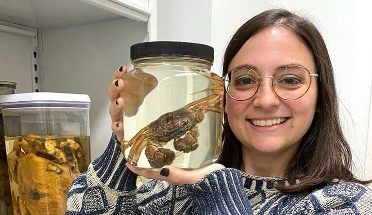 Ancient Crab Eyes Reveal New Insights into Evolution