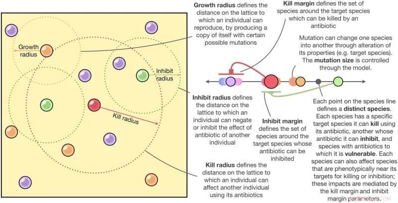 Microbial Diversity: New Mathematical Models Reveal Complex Interactions