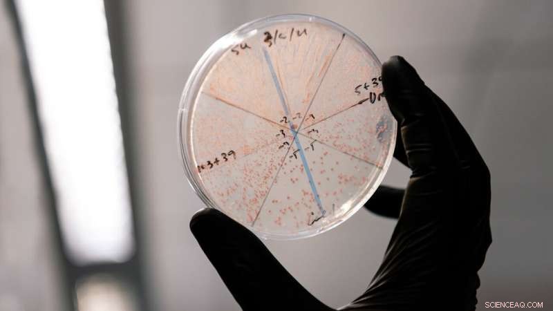 Gladstone Institutes Develops Enhanced Gene Editing Method Using Retrons