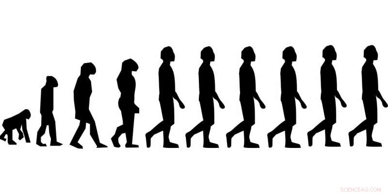 Human Evolution: Enhanced Protection Against Oxidative Stress