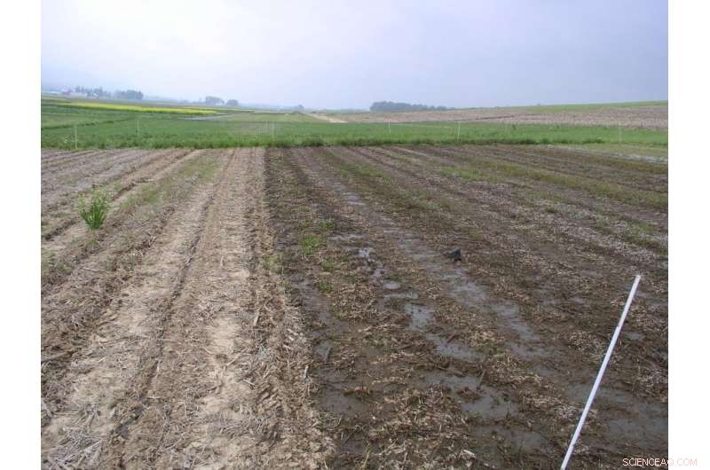 Climate-Resilient Dairy Farming: Adapting to Changing Regulations & Conditions