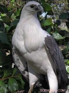 Coastal Wildlife Spotting: Top Animals to See in Australia This Summer