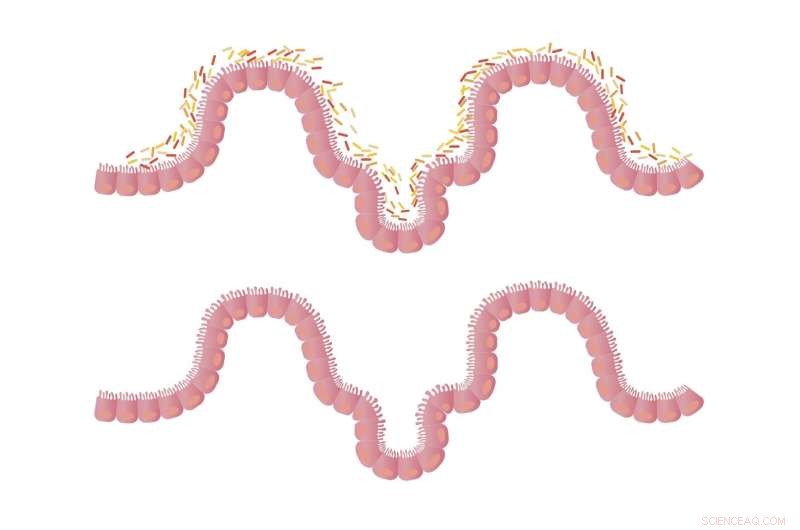 Natural Compounds: Unlocking Nature s Potential for Disease Treatment