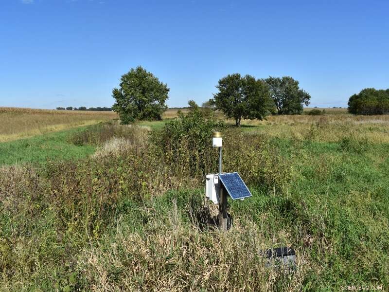 Riparian Buffers: Protecting Waterways with Native Plantings