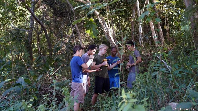 Ants and Trees: Unexpected Symbiosis Discovered Through Accidental Damage