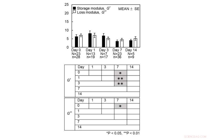 Nuclear Flexibility: How Cell Nuclei Direct Cellular Differentiation