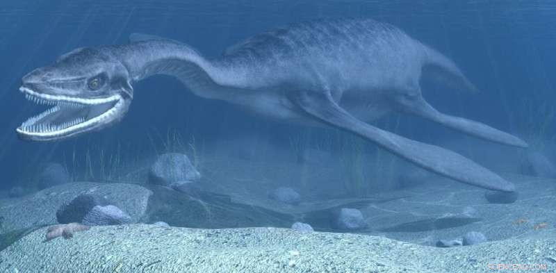 Ancient Marine Reptiles of New Zealand: Unearthing a Lost World