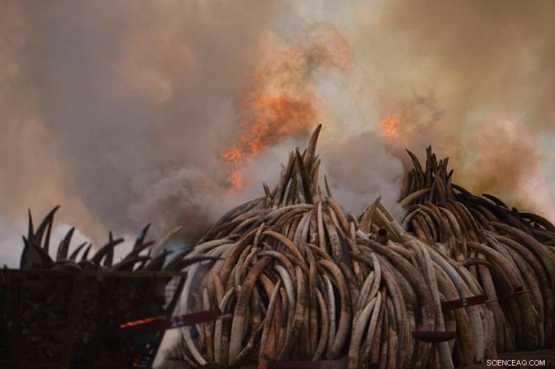 Richard Leakey: Pioneering Paleoanthropologist and Conservationist Dies at 77