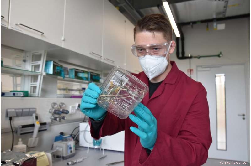 Spider Venom: A Source of Novel Therapeutics and Bioinsecticides