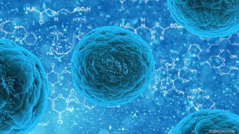 Stem Cell Breakthrough: Closer to Growing Human Organs for Transplantation