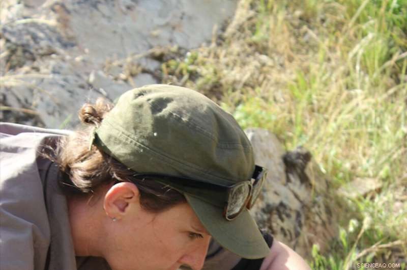 Participate in Orchid Conservation: A 5-Step Guide to Citizen Science