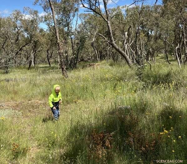 Participate in Orchid Conservation: A 5-Step Guide to Citizen Science