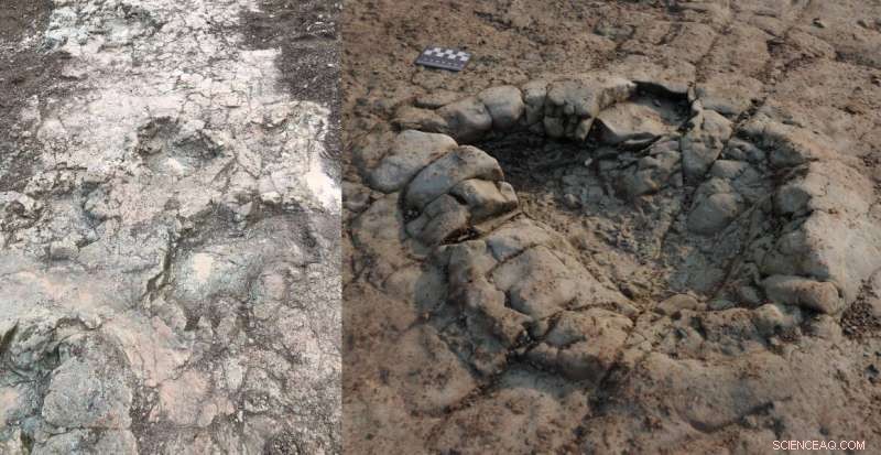Ancient Dinosaur Footprints Discovered in Wales – A 200 Million-Year-Old Discovery