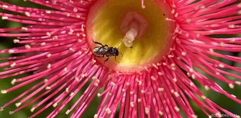 Citizen Science: How Students Are Contributing to Biodiversity Research