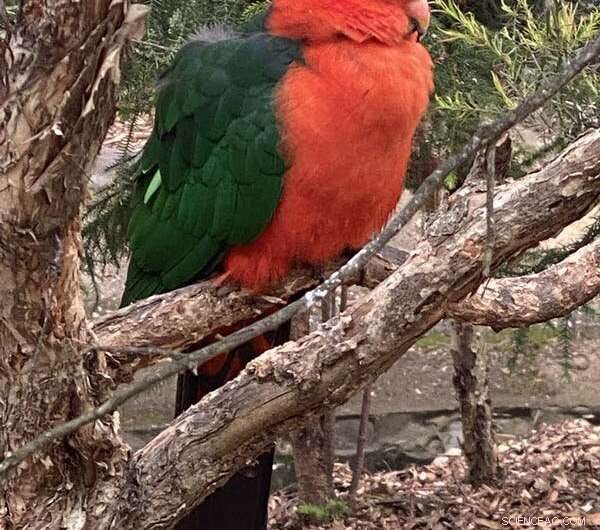 Citizen Science: How Students Are Contributing to Biodiversity Research