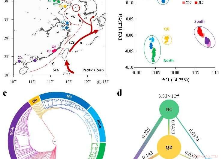 Evolutionary Adaptation in Estuarine Oysters: A New Study