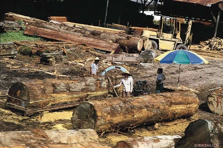 Southeast Asia s Forests: Protected Areas Failing to Prevent Deforestation