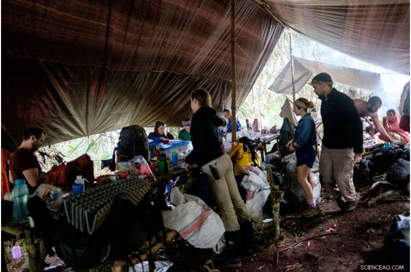 Louisiana Researchers Discover 14 New Shrew Species in Sulawesi