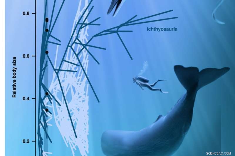 Ancient Giant Ichthyosaur Skull Reveals Early Marine Reptile Growth