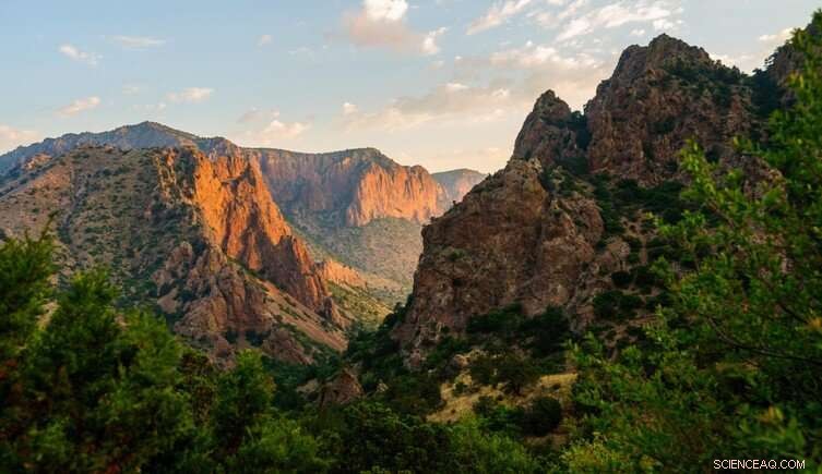 Quetzalcoatlus Northropi: The Giant Flying Reptile That Reminded Scientists of a Heron