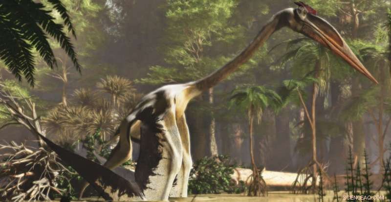 Quetzalcoatlus Northropi: The Giant Flying Reptile That Reminded Scientists of a Heron